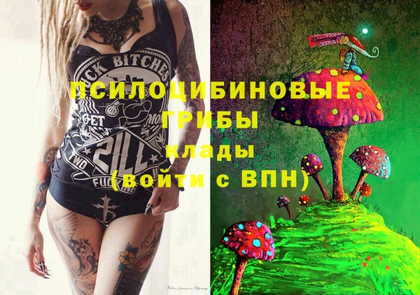 шишки Баксан