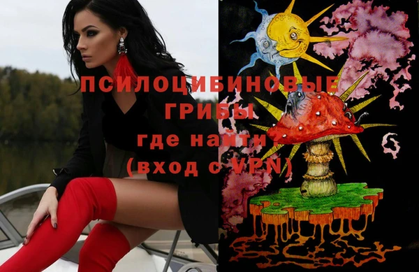 шишки Баксан