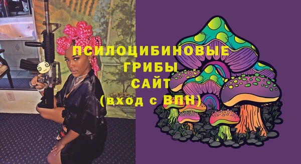 ГАЛЛЮЦИНОГЕННЫЕ ГРИБЫ Балахна