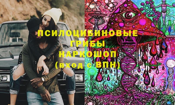 шишки Баксан