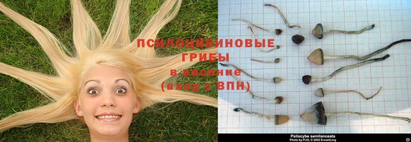 шишки Баксан